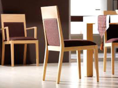 Muebles de hogar y mobiliario decorativo